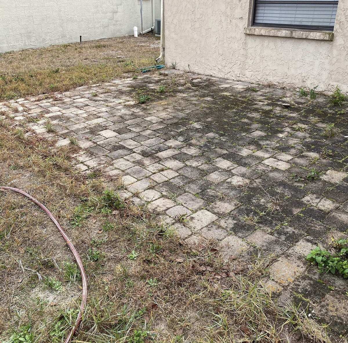 Dirty paver patio covered in weeds, moss, and black mildew stains before pressure washing in Tampa, FL